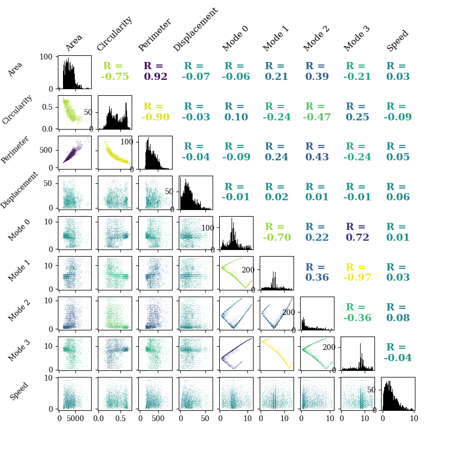 Feature correlations