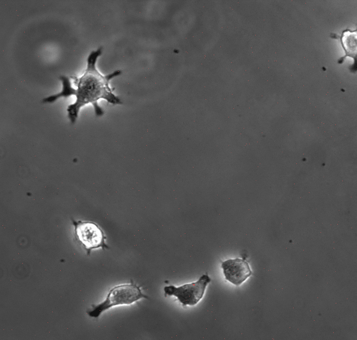Imaging Example