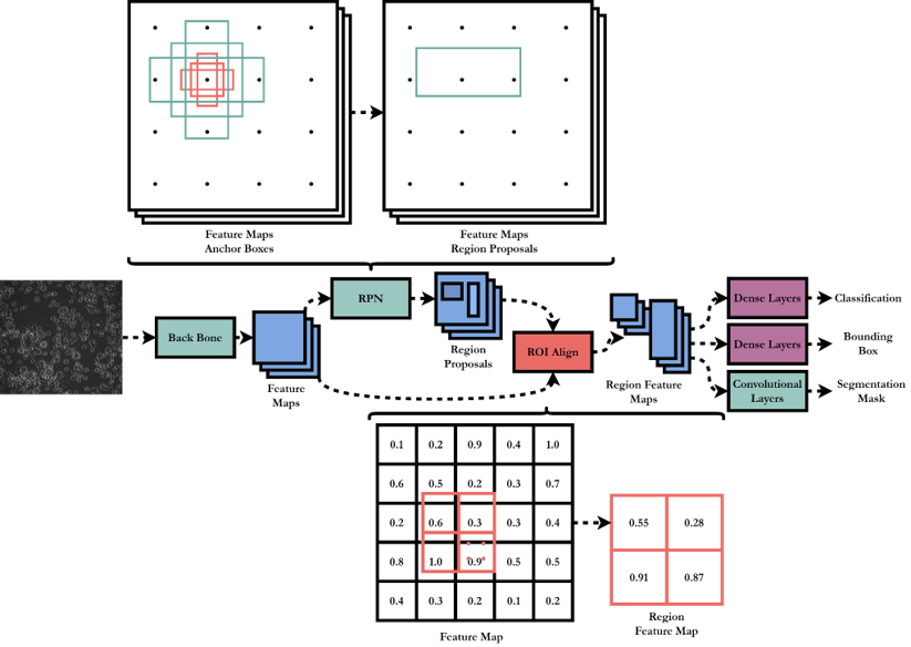 Mask R-CNN Architecture